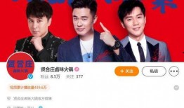 贤合庄事件爆料视频播放,揭秘背后真相，视频播放引发热议